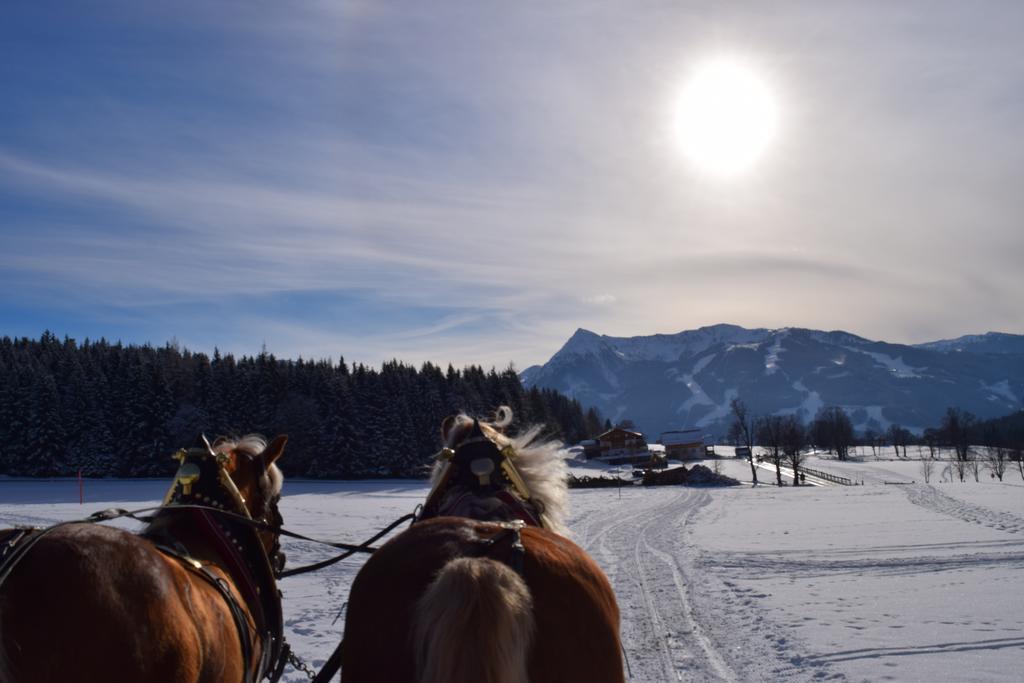 Pension Irlingerhof Mondsee Luaran gambar
